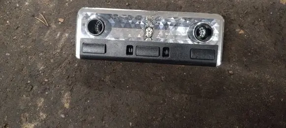 BMW X5 E53 Front seat light 63318364929