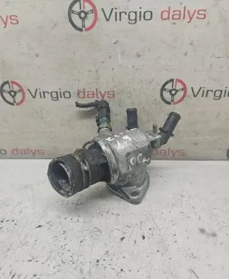Thermostat/thermostat housing