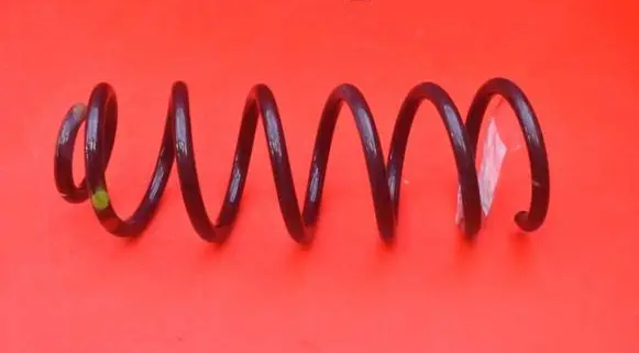 Dacia Sandero Rear coil spring