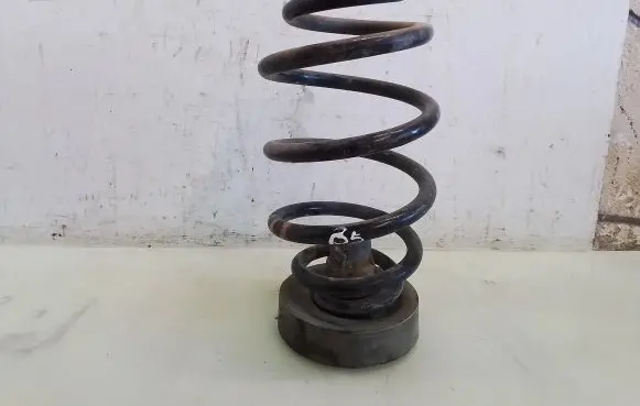 Volkswagen PASSAT B5 Rear coil spring