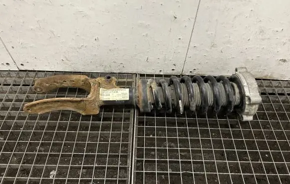 Porsche Cayenne (9PA) Front shock absorber/damper 7L5412022