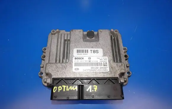 KIA Optima Engine control unit/module 391202A307 391252A307 0281019569