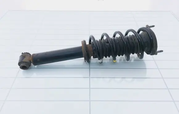 Peugeot 407 Front shock absorber with coil spring 10050513 6840