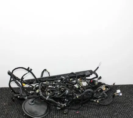 Other wiring loom