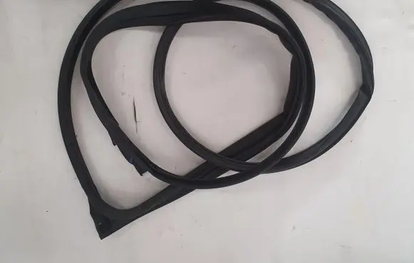 Nissan Juke II F16 Front door rubber seal PU5624