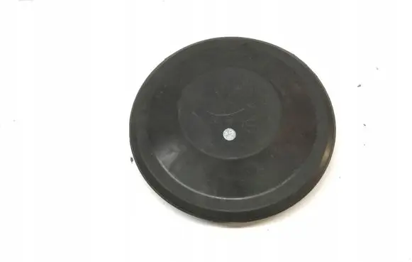 Headlight/headlamp dust cover