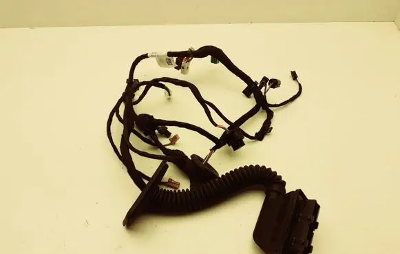 Rear door wiring loom
