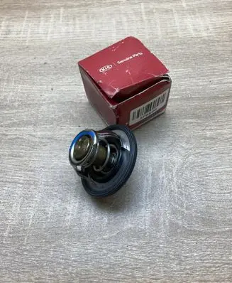 Hyundai ix35 Thermostat 255002A100