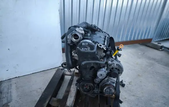 Volkswagen Golf V Engine BXE