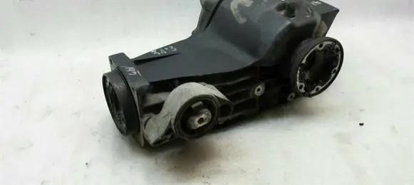 Volkswagen PASSAT B5.5 Rear differential