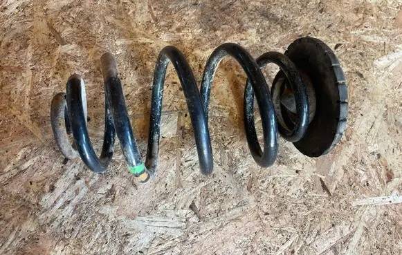 Rear coil spring