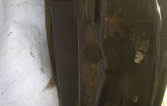Rear door lower hinge