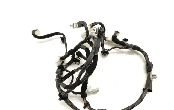 Hyundai Santa Fe Tailgate/trunk wiring harness 916802B020