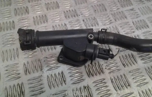 Thermostat/thermostat housing