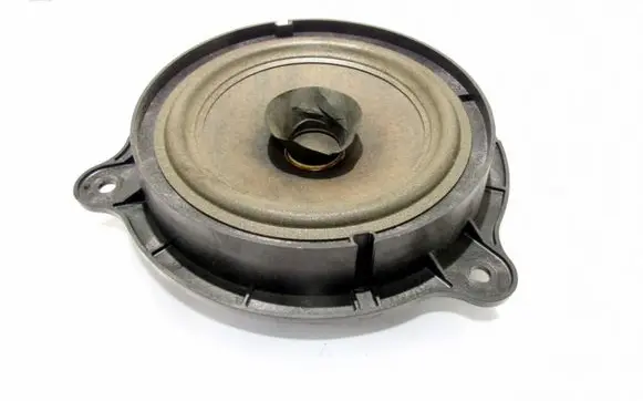Rear door speaker