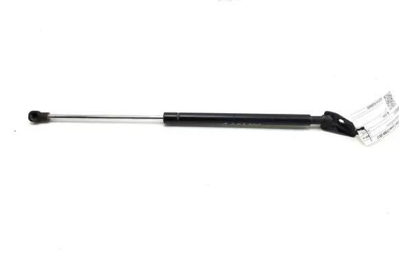 Toyota Urban Cruiser (XP110) Tailgate strut 6890652010
