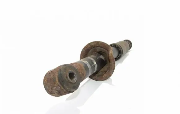 Mitsubishi Lancer X Rear shock absorber/damper