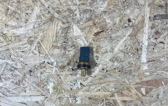 Porsche Macan (95B) Sensor 95510612501 06a919501a