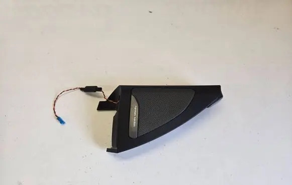 BMW X5 G05 Front door speaker 7445515