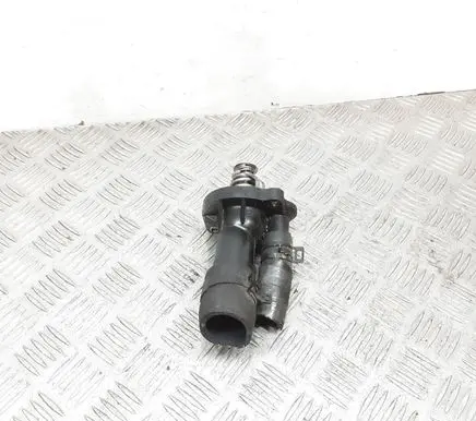 Thermostat/thermostat housing