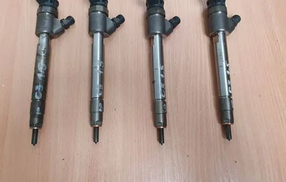 Citroen C3 Fuel injector 9828959880 0445110955