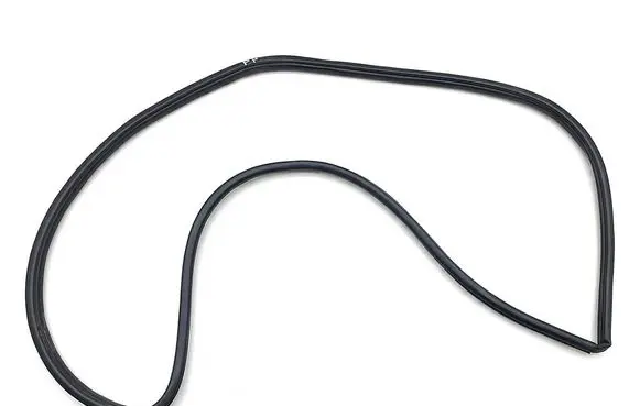 Lexus NX Rubber seal front door (on door)