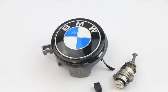 BMW M6 Tailgate exterior lock 7061327