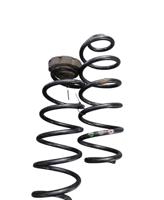 Rear coil spring