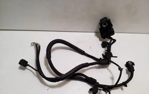 KIA Soul Positive cable (battery) 91850B2060