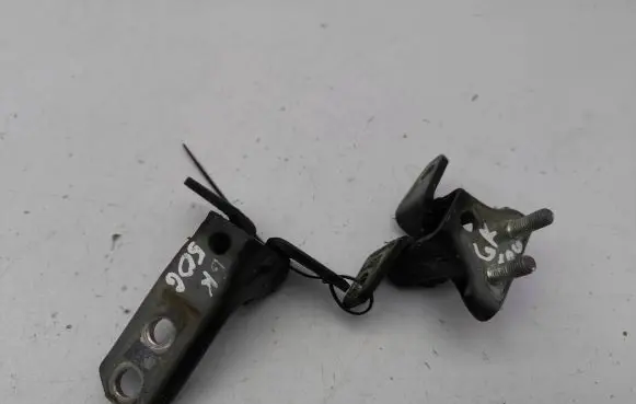 Mitsubishi Outlander Rear door hinge set 