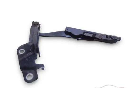 Jaguar XF X250 Engine bonnet/hood hinges 274AWD2E