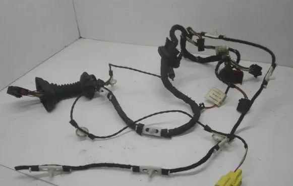 Front door wiring loom