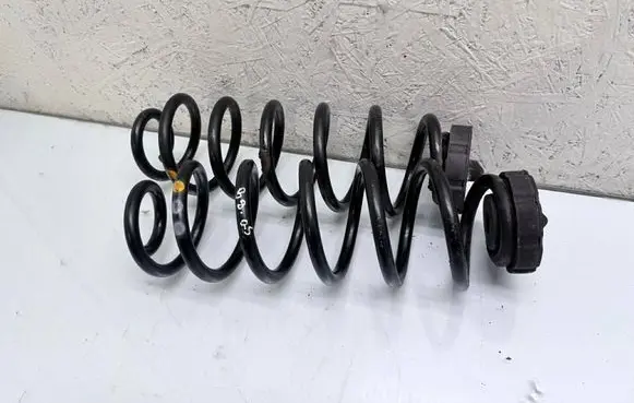 Audi Q5 SQ5 Rear coil spring