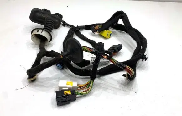 DS Automobiles 4 Front door wiring loom 9810100880