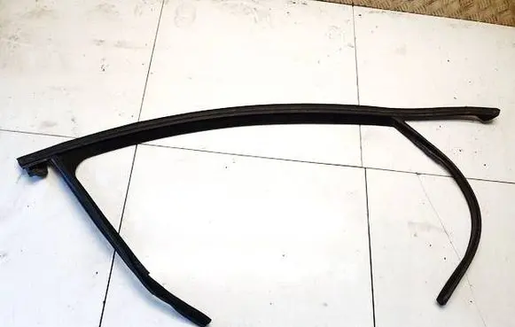 Opel Insignia A Rubber seal front coupe door 22892533