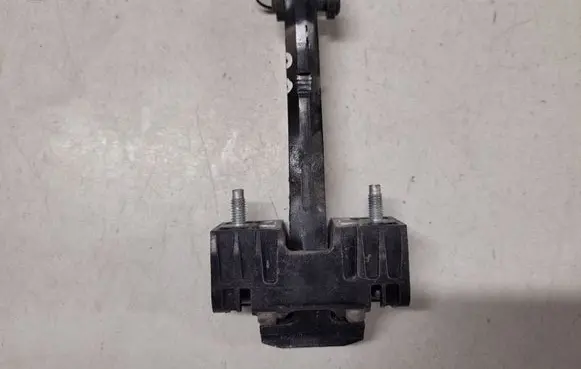 Citroen C4 I Front door check strap stopper