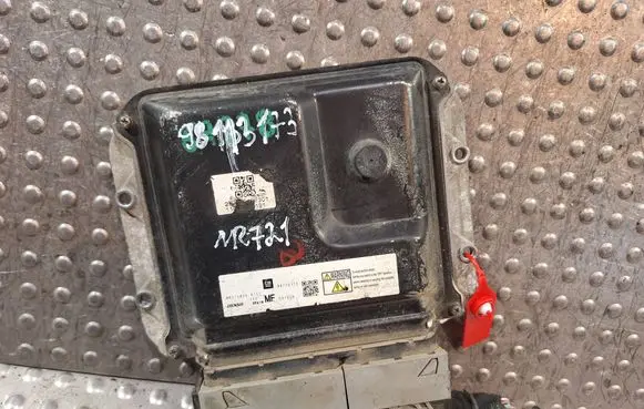Engine control unit/module ECU