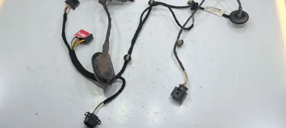 Volkswagen PASSAT B7 Rear door wiring loom 3AA971694CB