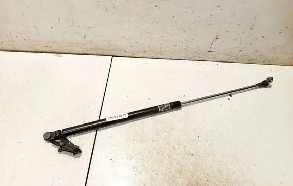 Tailgate/trunk strut/damper