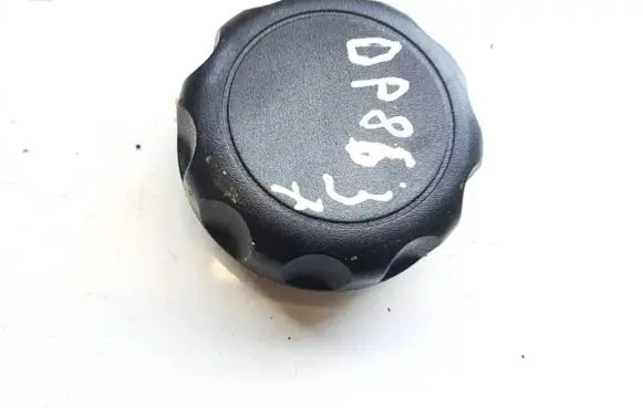 Ford Focus Other interior part 1157884