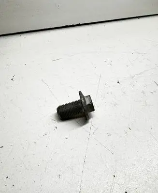 Steering wheel lock