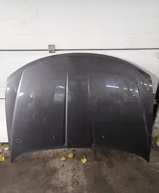 Engine bonnet/hood