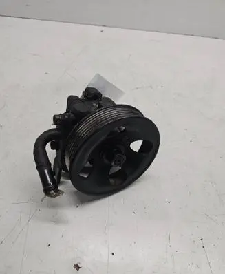Hyundai Santa Fe Power steering pump