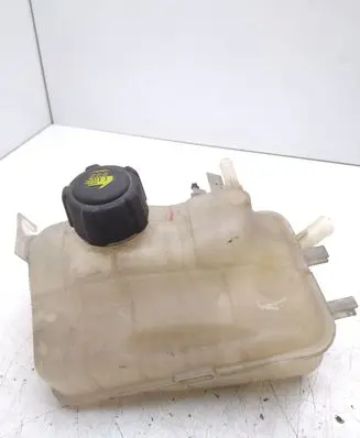 Renault Scenic III - Grand scenic III Coolant expansion tank/reservoir 217100005R