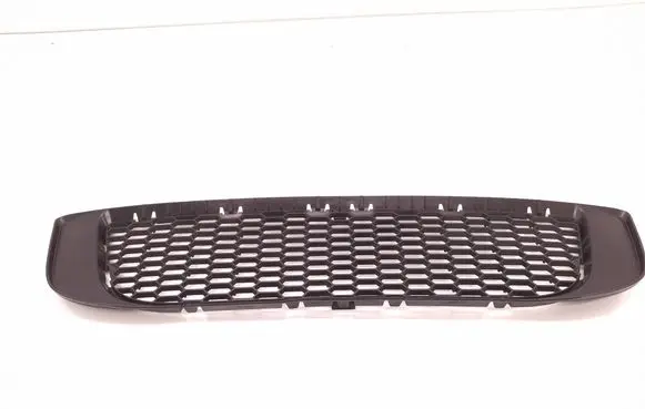 Front bumper lower grill