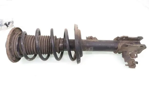 Opel Signum Front shock absorber with coil spring 13118701