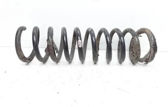 Rear coil spring