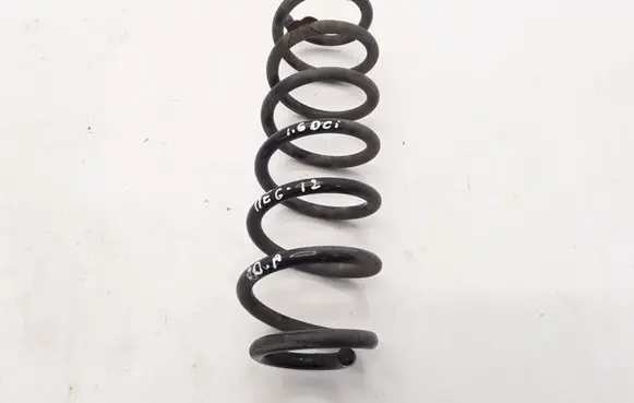 Renault Megane III Rear coil spring 550200011R