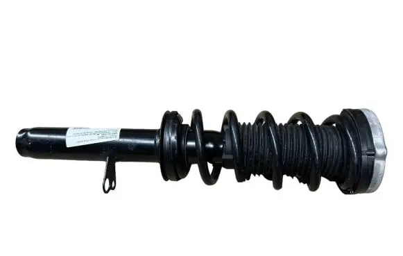 BMW 5 G30 G31 Front shock absorber with coil spring 6875622 31316875622
