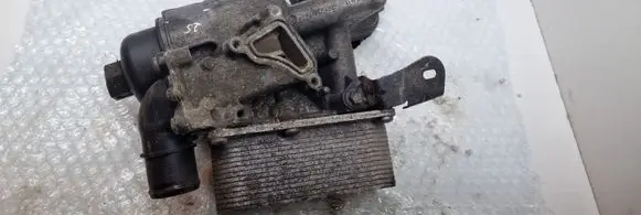 Renault Laguna III Oil filter mounting bracket 8200797762